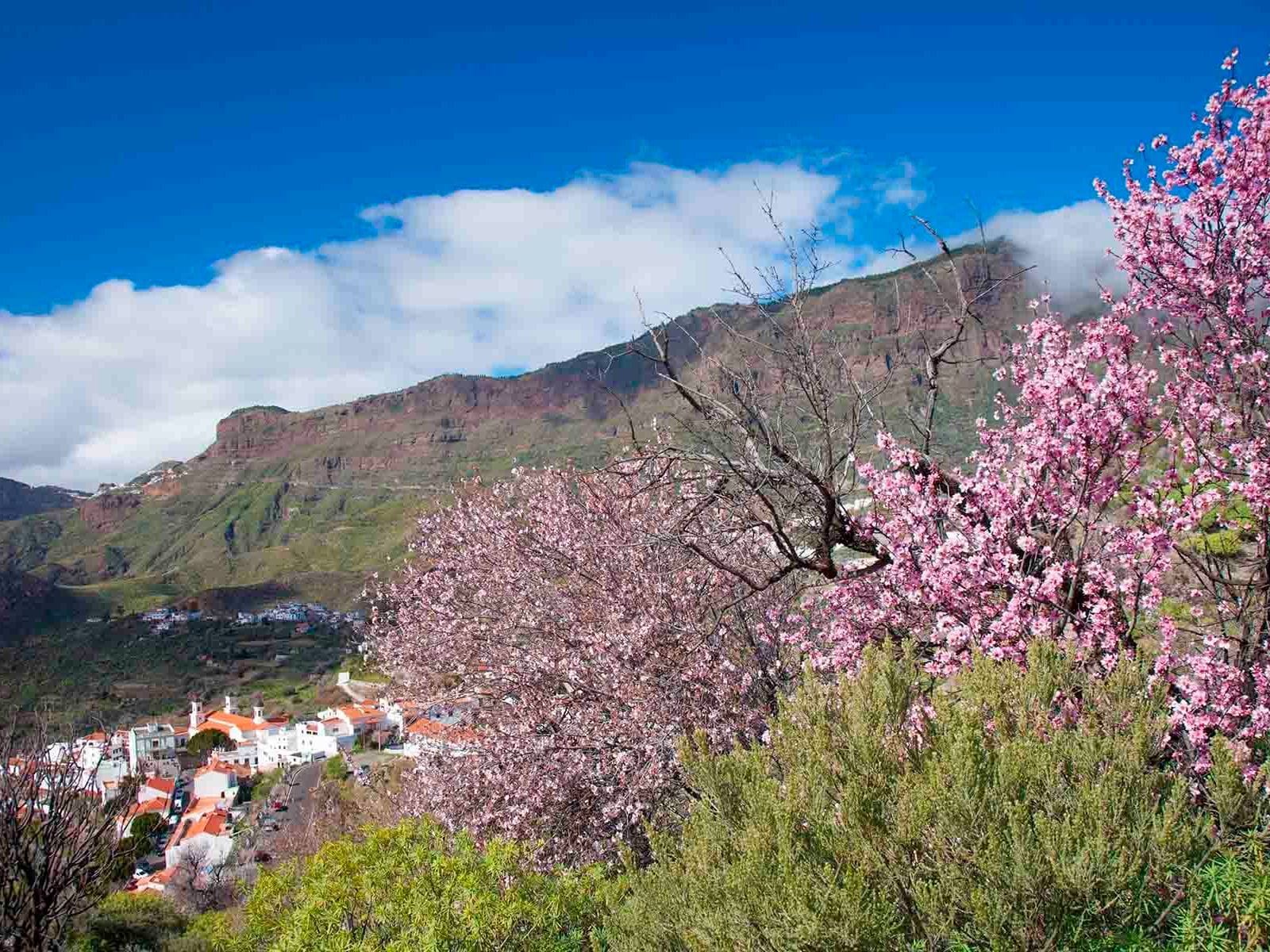 Vista de la fiesta del Almendro en Flor en tejeda, una de las fiestas populares en Canarias