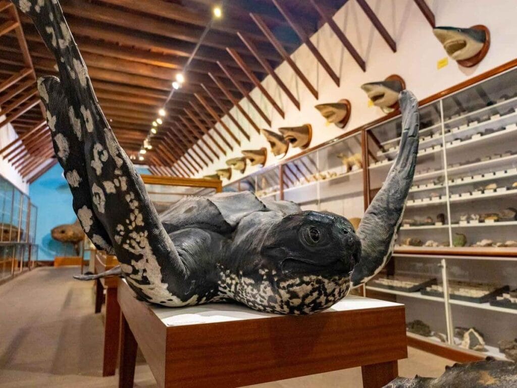 Vista del Museo Insular de La Palma, uno de los mejores museos de La Palma