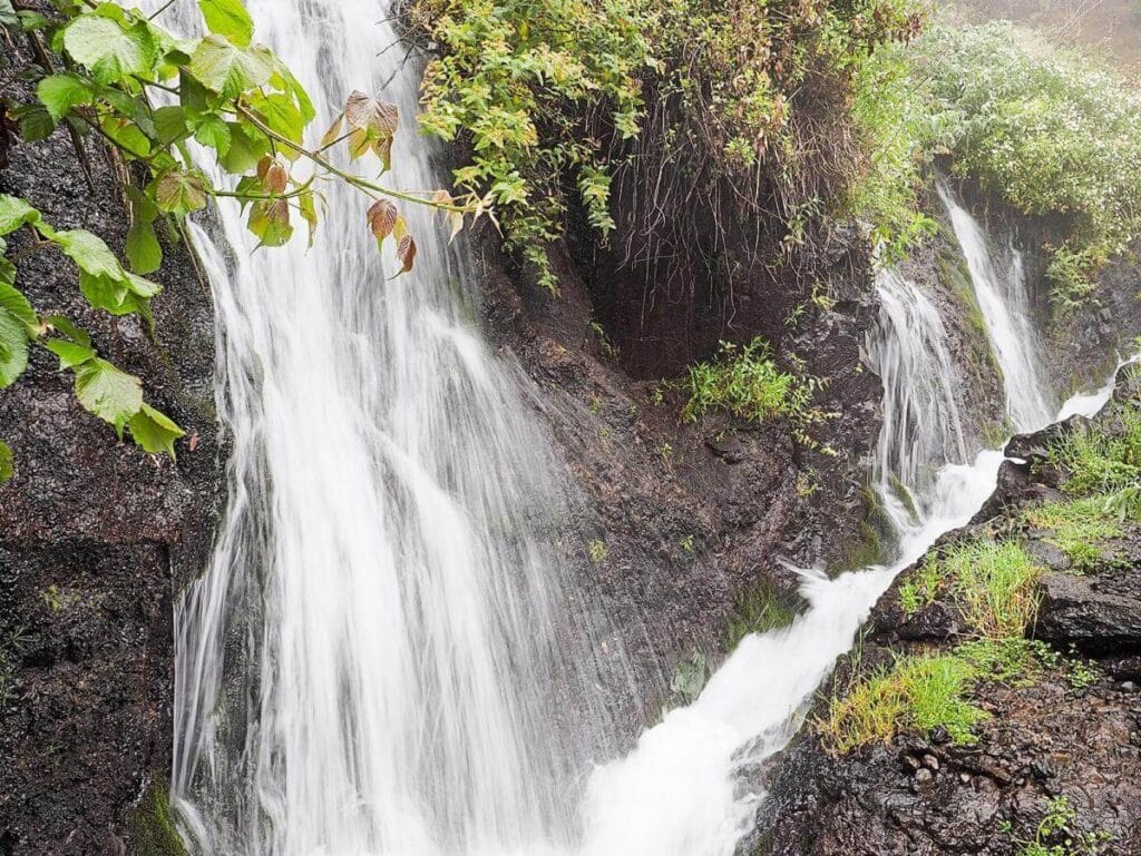 Vista de la ruta de los Nacientes de Marcos y Cordero en La Palma