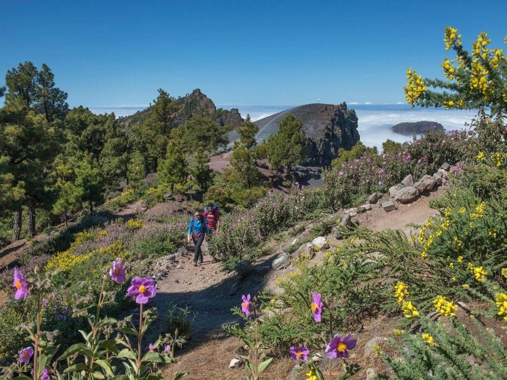 Vista del sendero de La Crestería , una de las mejores rutas en La Palma
