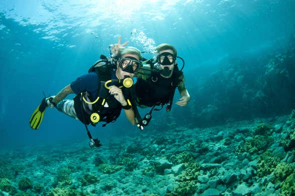 Vista de Bautismo de buceo en La Restinga, una de las mejores actividades en El Hierro