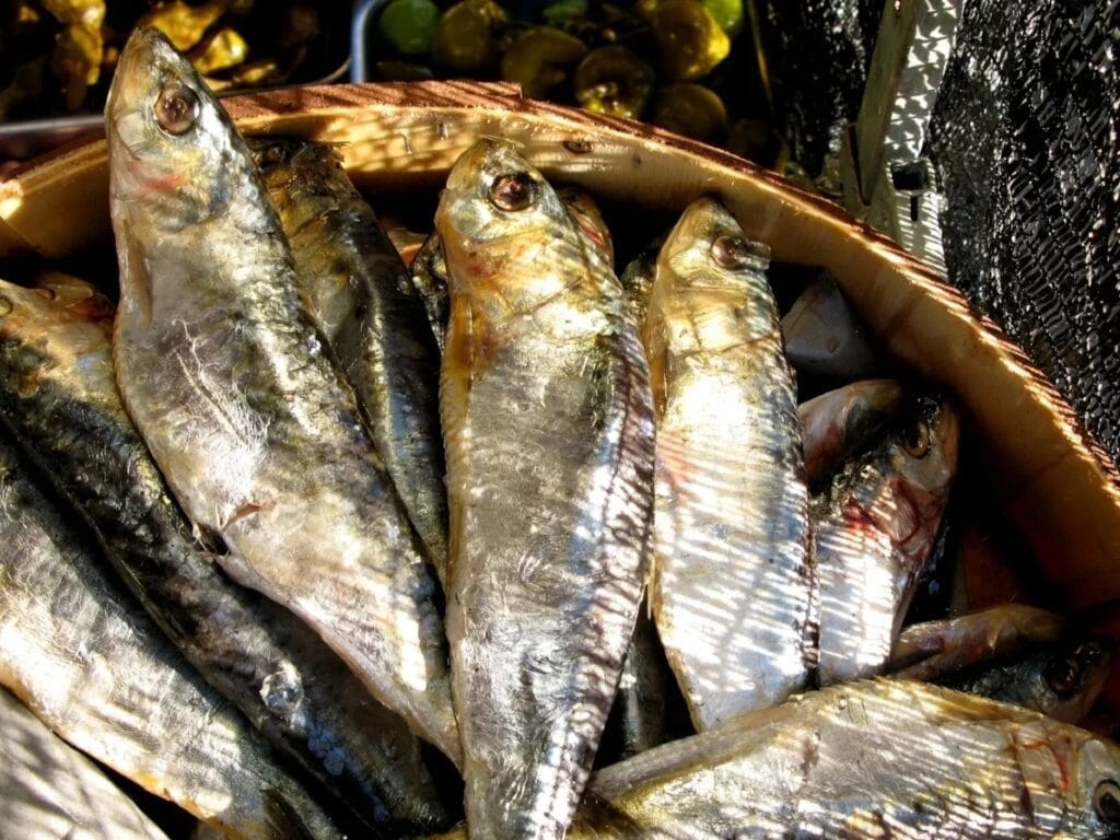Vista de un plato de pescados en la isla de La Graciosa